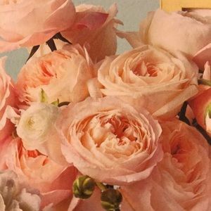 Meet your Posher, Angela